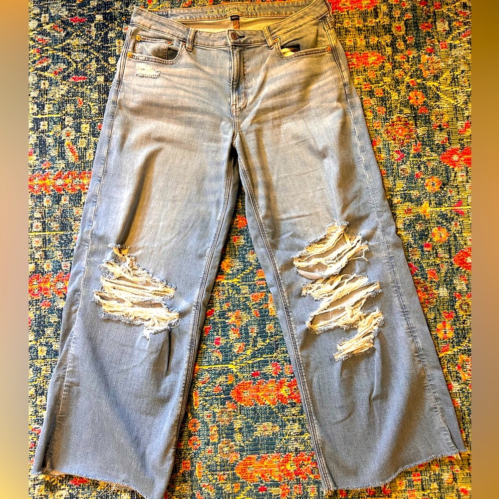 American Eagle Low Rise Baggy Wide Leg Jean